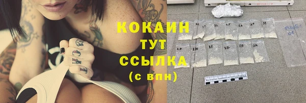 ешки Богданович