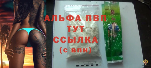 ешки Богданович