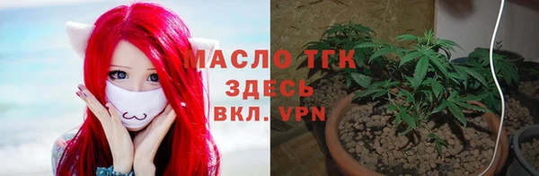 apvp Богородск