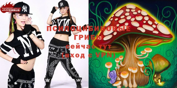 ешки Богданович