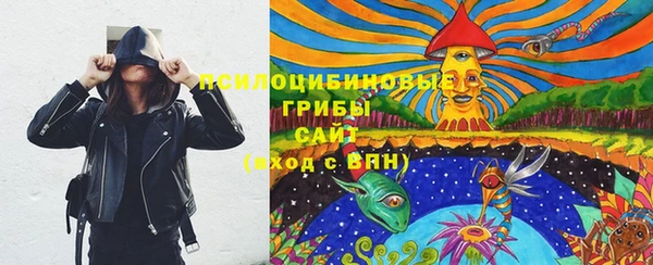 прущий лед Богородицк