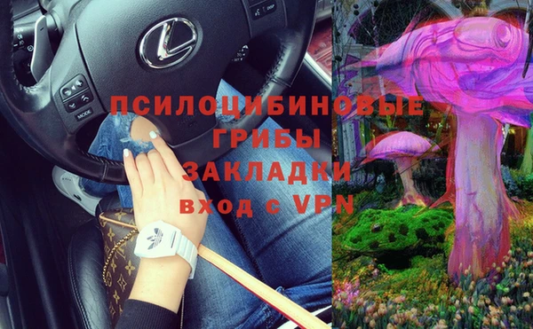 ешки Богданович