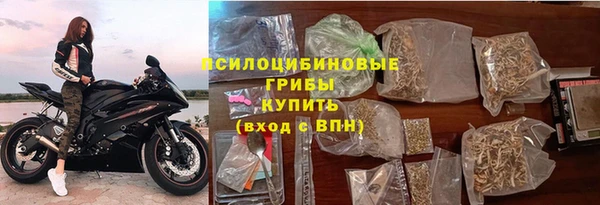 apvp Богородск