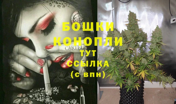 apvp Богородск